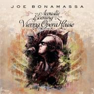 An acoustic evening at the vienna opera house (Vinile)