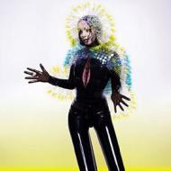 Vulnicura