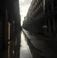Perspectives (Vinile)