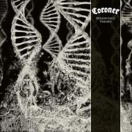 Dissonance theory