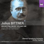 Opere per orchestra (integrale), vol.1: sinfonia n.1, vaterland