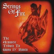 Strings of fire: acoustic tribute to guns n roses