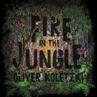 Fire in the jungle