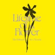 Lifetime of a flower (Vinile)