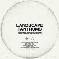 Landscape tantrums - unfinish (Vinile)