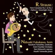 Richard strauss horn no sekai