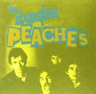 Peaches / go buddy go [7''] (green vinyl, limited to 2750, indie (Vinile)