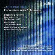 Aa.vv.: encounters with schumann