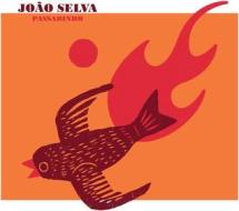 Joao selva-passarinho lp (Vinile)