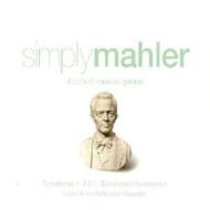 Simply mahler (4cd)