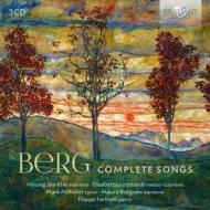 Lieder (integrale) - complete songs
