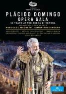 Placido domingo - opera gala - 50 years at the arena di verona