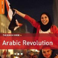 Arabic revolution - the rough guide to