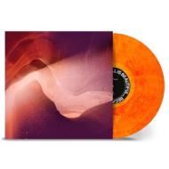 All is beautiful... because we (Vinile)