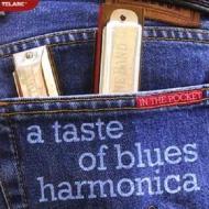 In the pocket a taste of blues harmony