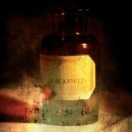 Blackfield (Vinile)