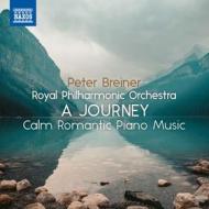 A journey - calm romantic piano music vol.2