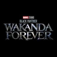 Black panther: wakanda forever