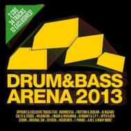 Drum & bass arena 2013