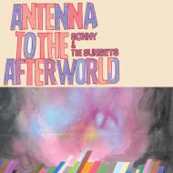 Antenna to the afterworld (Vinile)