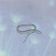 Bring on the snakes (reissue) (Vinile)
