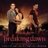 Breaking dawn pt. 1 the twilight saga