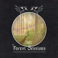 The forest sessions