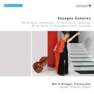 Voyages sonores (brani per violoncello e