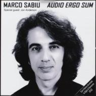 Audio ergo sum