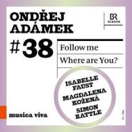 Follow me. where are you? #38