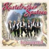 16 spatzen-hits instrumental