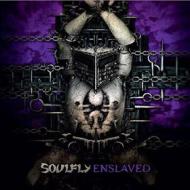 Enslaved (standard edition)