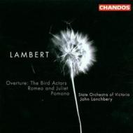Lambert: the birds actors  romeo   giuli