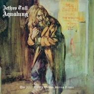 Aqualong (new stereo mix) (Vinile)