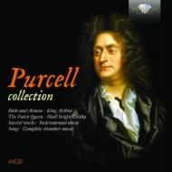 Box-purcell collection