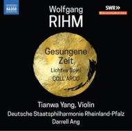 Musica per violino e orchestra, vol.2
