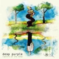 Rapture of the deep (20th anniversary remix) (Vinile)