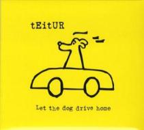 Let the dog drive home