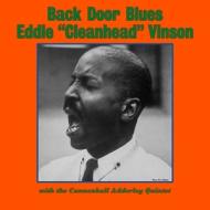 Back door blues (Vinile)