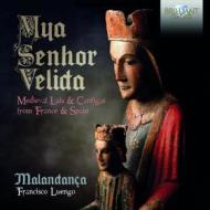 Mya senhor velida - lais e cantigas medi