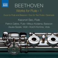 Works for flute, vol.1 - musica da camer
