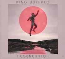 Regenerator