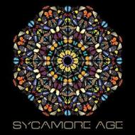 Sycamore age (Vinile)