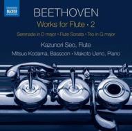 Works for flute, vol.2 - musica da camer