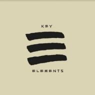 Key elements (Vinile)