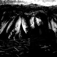 We are the plague