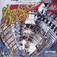 Amboy dukes (Vinile)