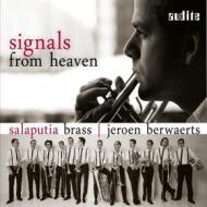 Signals from heaven