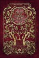 Tomorrowland 2016: the elixir of life