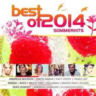 Best of 2014: sommerhits